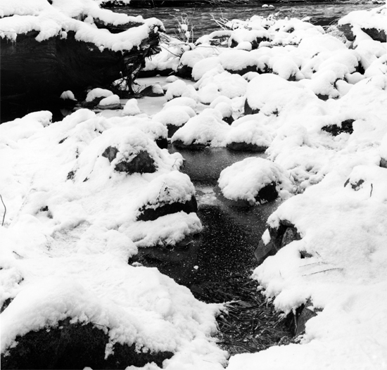 Snow Fall, Merced River
