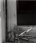 Window Detail, Eureka Mine  